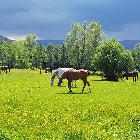 Zacisze Pod Sniezka Διαμέρισμα Mysłakowice