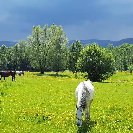 Διαμέρισμα Zacisze Pod Sniezka Mysłakowice