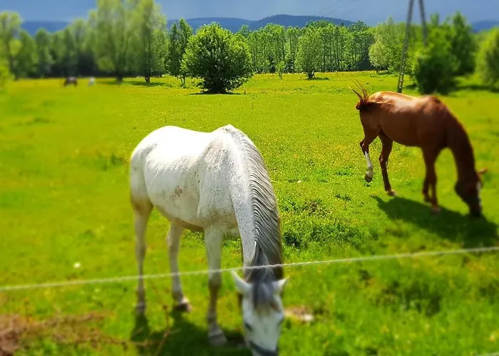 Apartmán Zacisze Pod Sniezka *