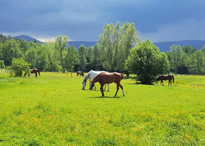 Zacisze Pod Sniezka Apartmán Mysłakowice