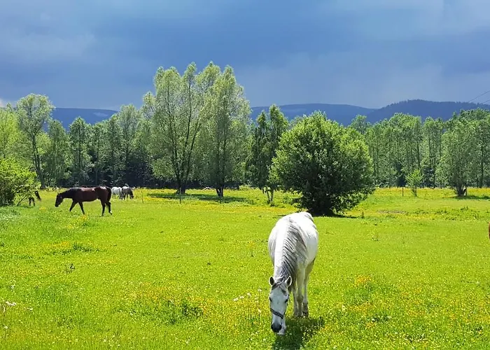 Apartmán Zacisze Pod Sniezka Mysłakowice